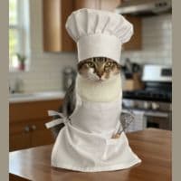 Chef sample