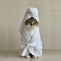 Spa Day sample